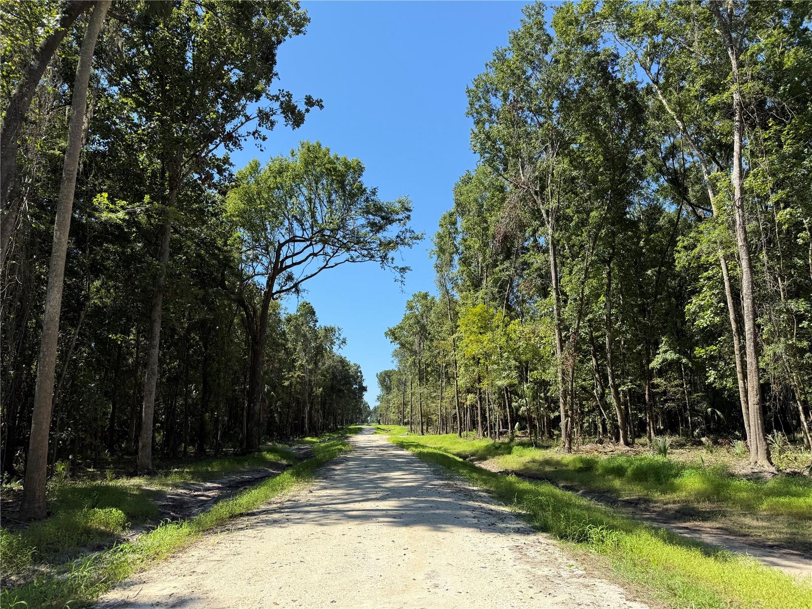 DR #7 (10ac) NW 193RD ST Property Photo 1