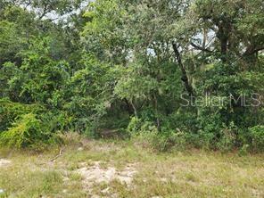 Orange Rd Property Photo 3