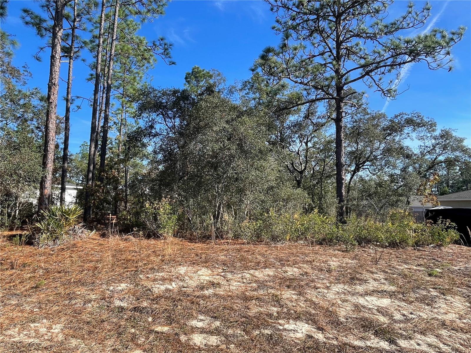 11475 N Kenney Loop Property Photo 2