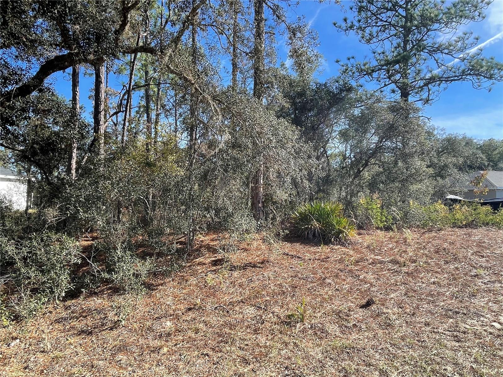 11475 N Kenney Loop Property Photo 3