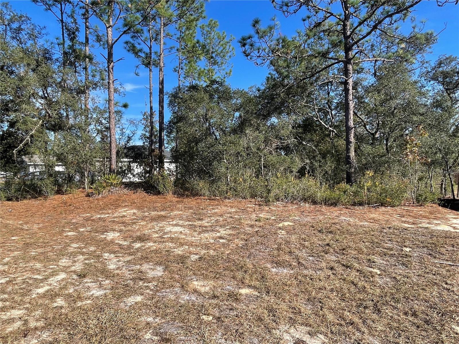 11475 N Kenney Loop Property Photo 4