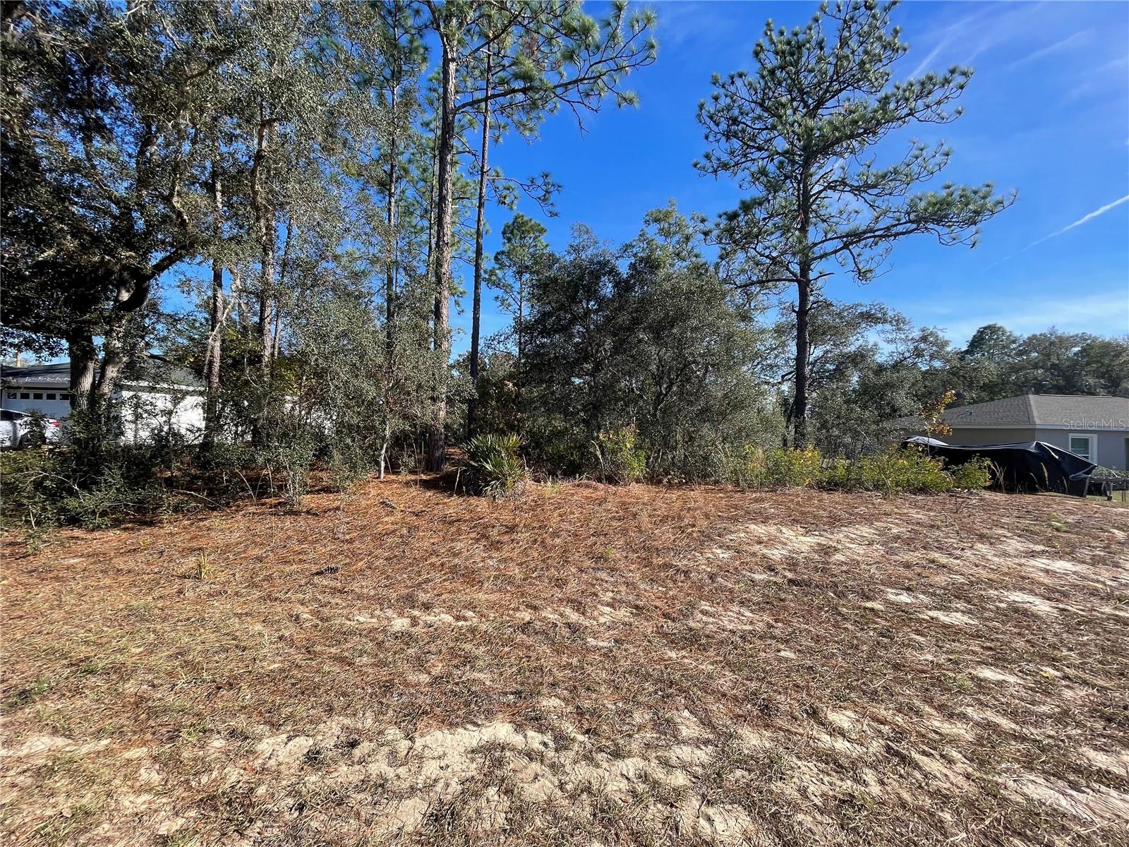 11475 N Kenney Loop Property Photo 5