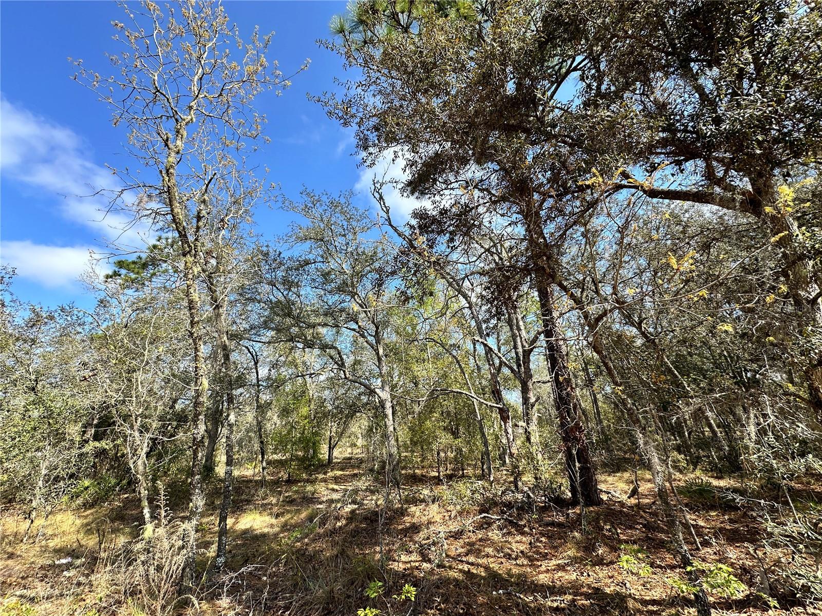 TBD NE 68TH PL Property Photo 1