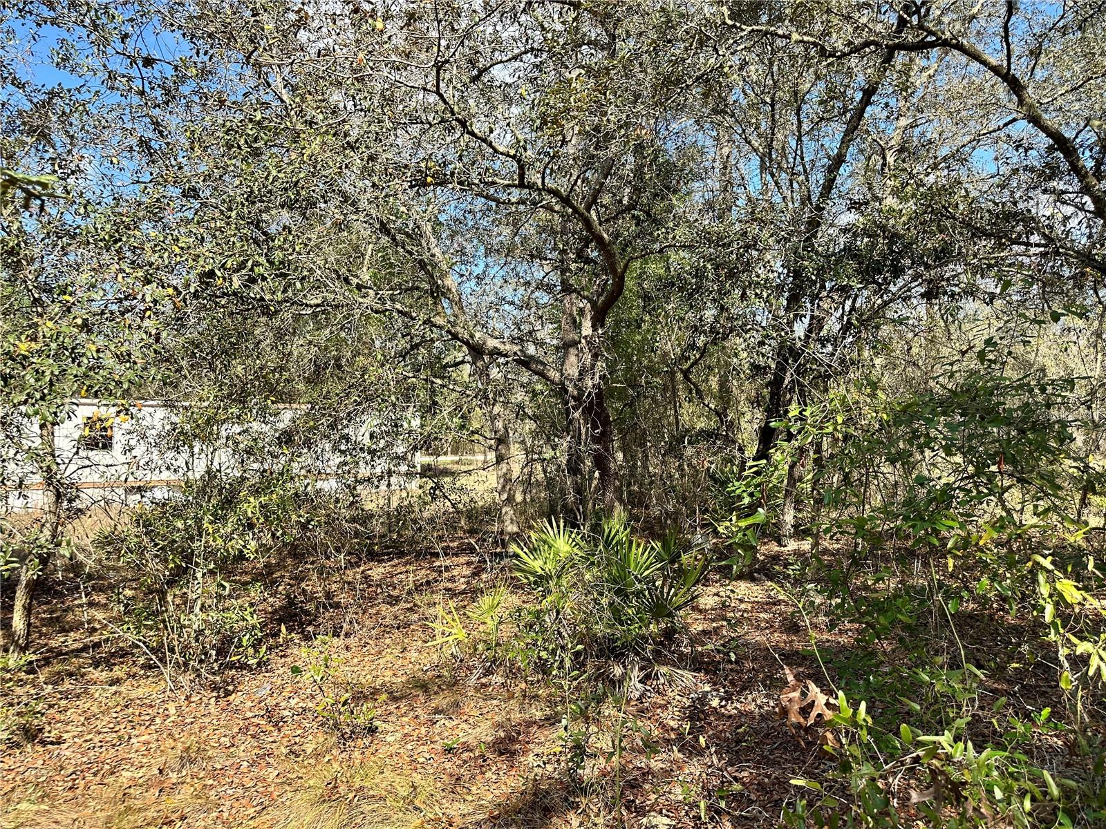 Tbd Ne 68th Pl Property Photo 8