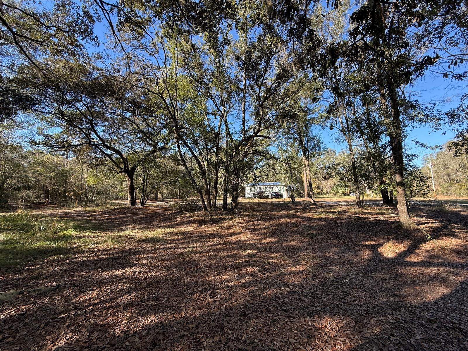 132 Pond Side Trl Property Photo 7