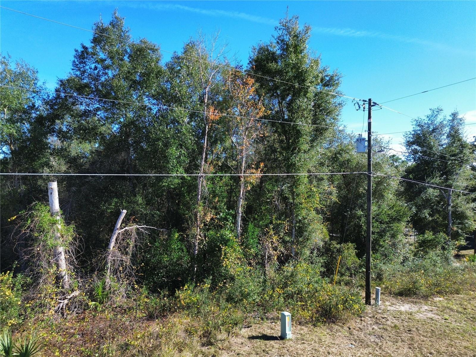 0 SE 178TH AVE Property Photo 1