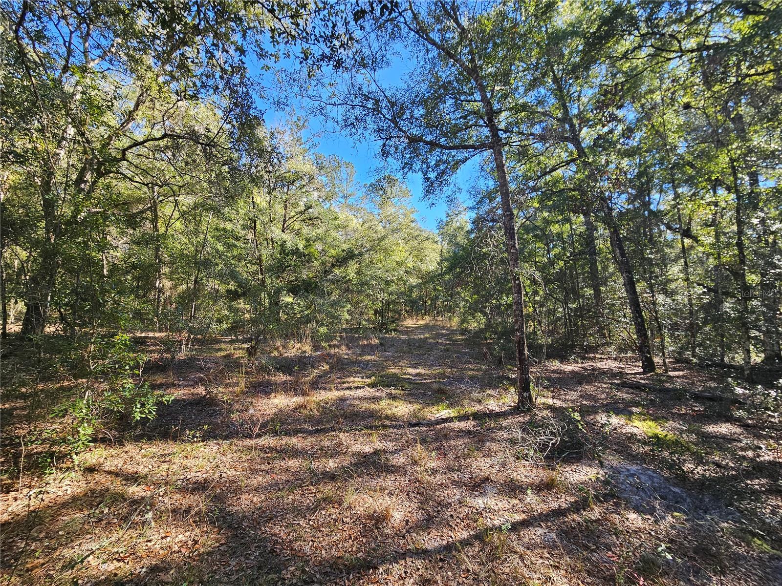 Tbd Ne 175th Ave Property Photo 6