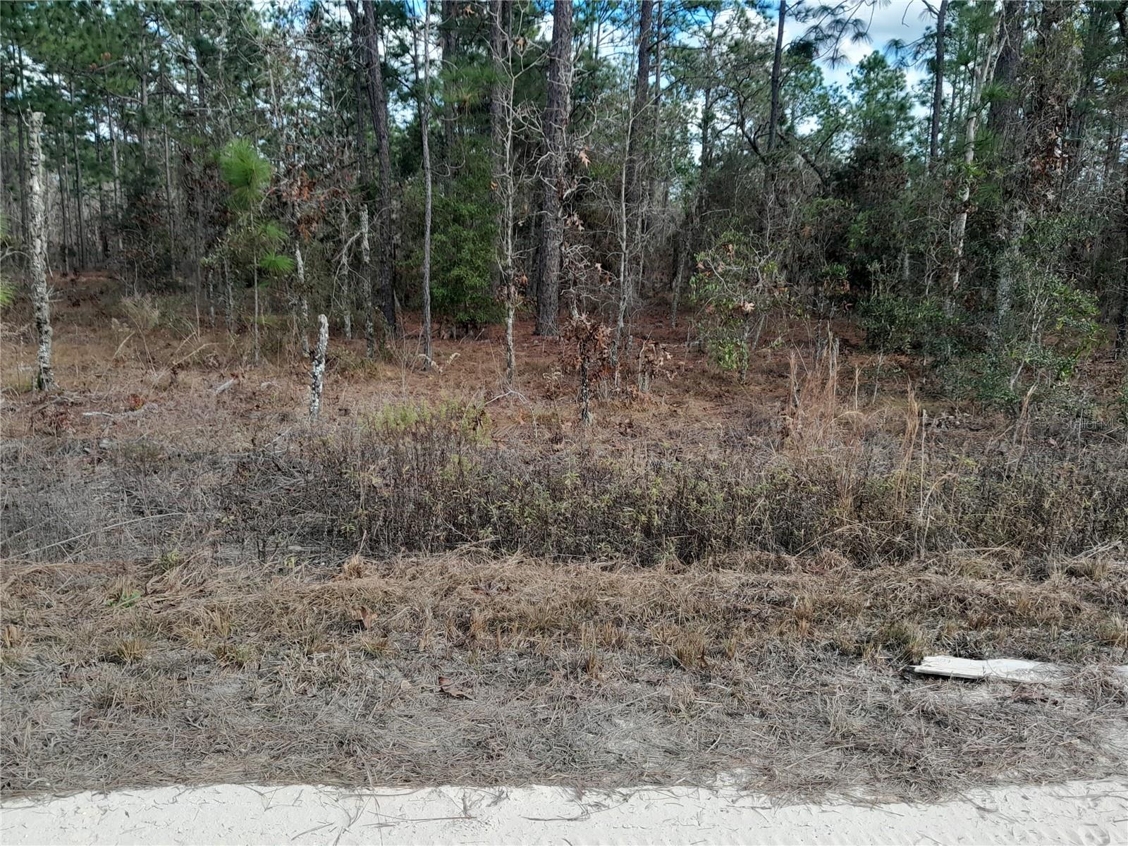 Tbd Ne 150th Ave Property Photo 4