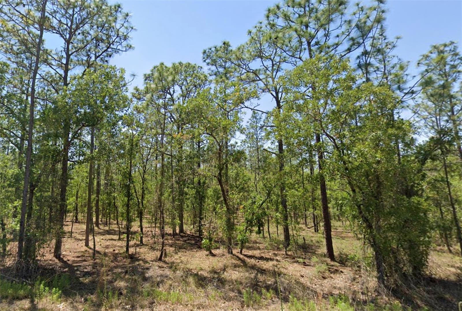 00 Nw Narcissus Rd Property Photo 1