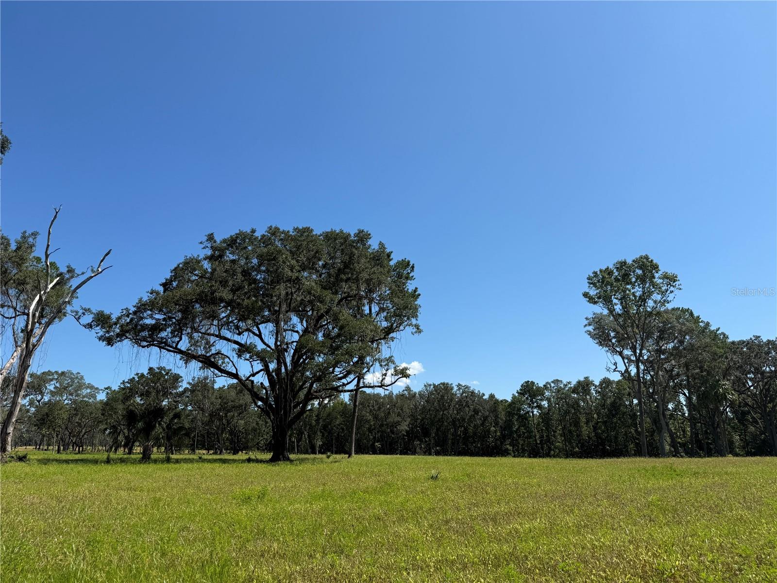 DO #6 (24ac) NW 193RD ST