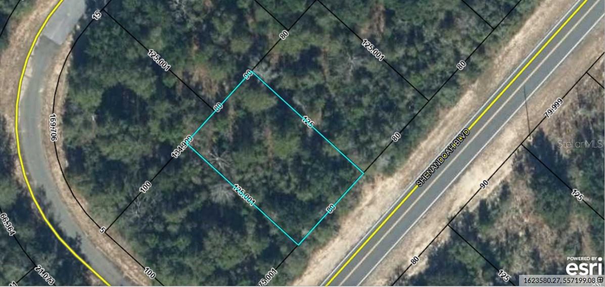 Lot 10 Unit 2 Blk 257 Shenandoah Blvd Property Photo 4
