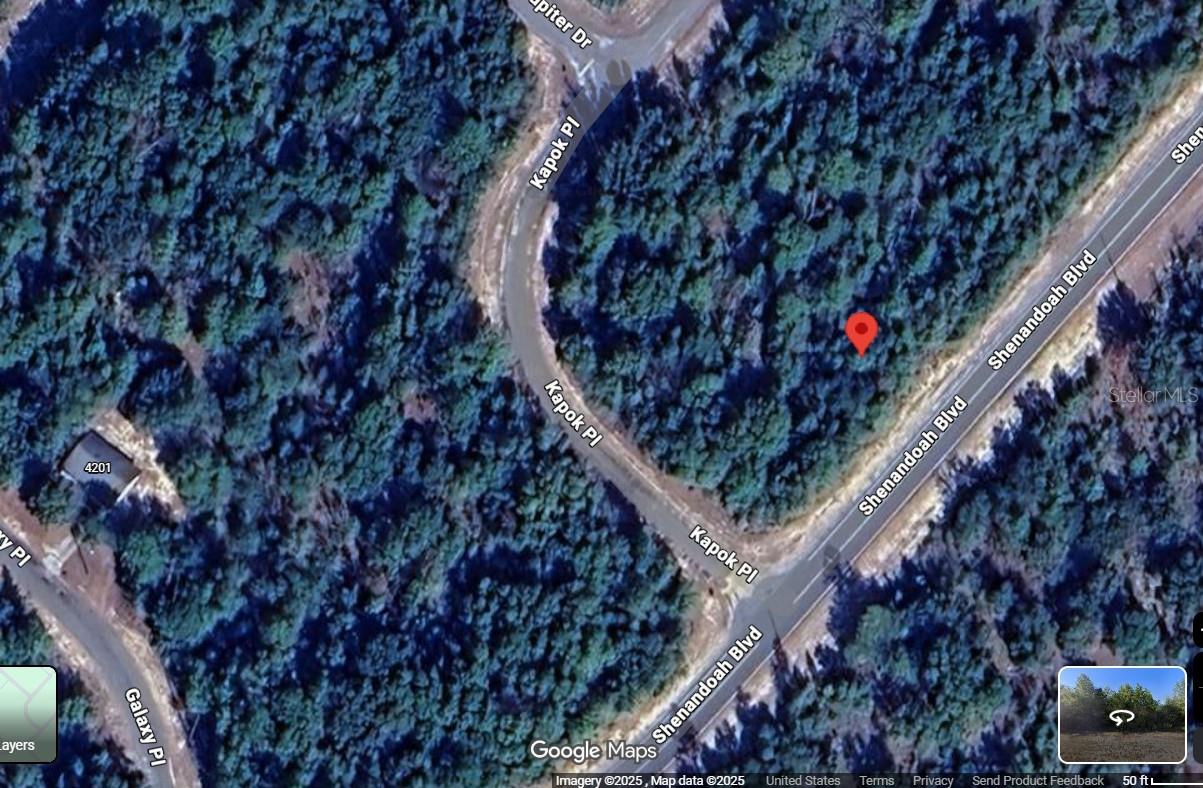 Lot 10 Unit 2 Blk 257 Shenandoah Blvd Property Photo 7