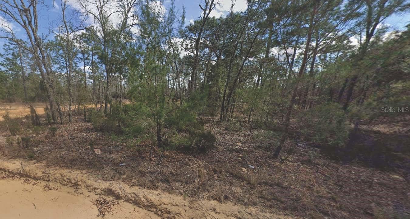 133 Lake Lucy Ct Property Photo 1