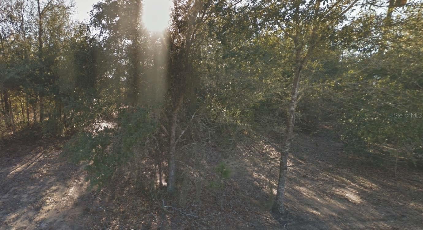 304 CALIFORNIA AVE