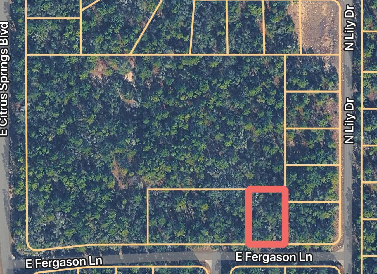 1409 E Fergason Ln Property Photo 1