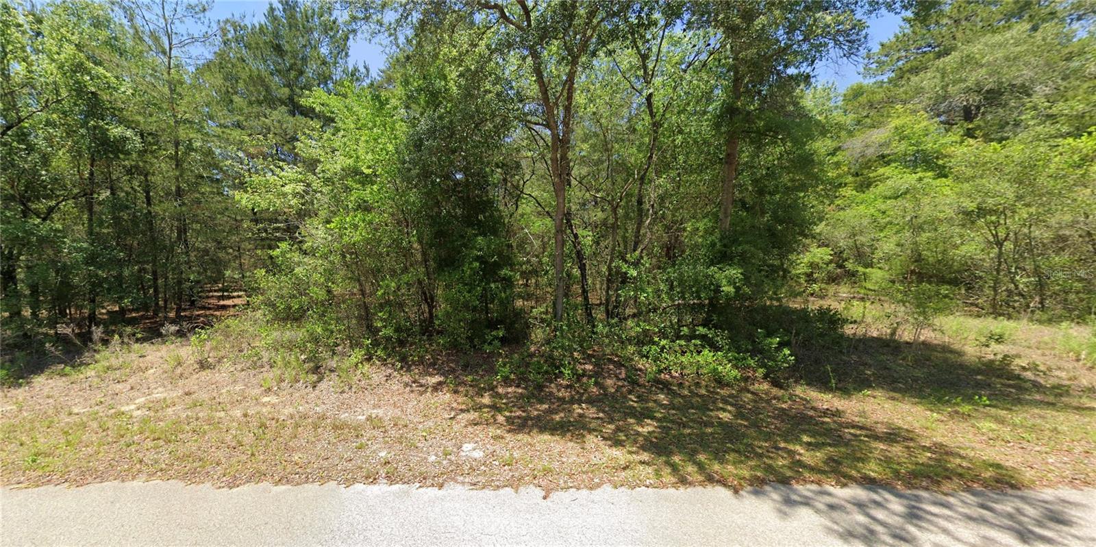 2104 SW MOINES CT Property Photo 1