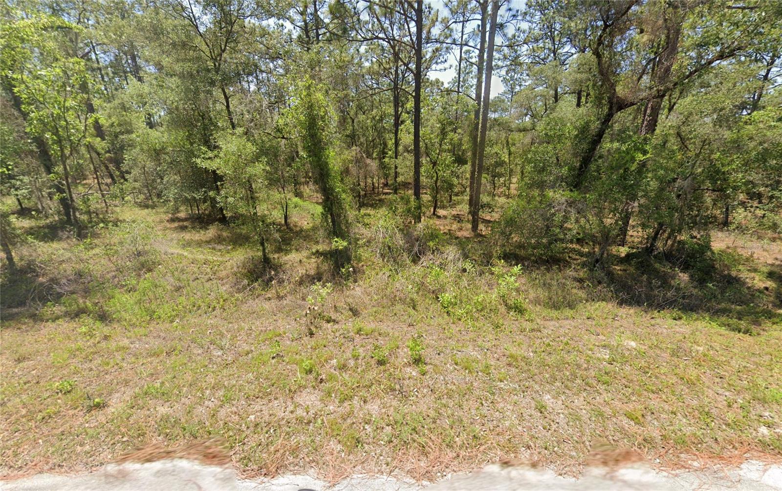 156 Nw Redwing Rd Property Photo 1