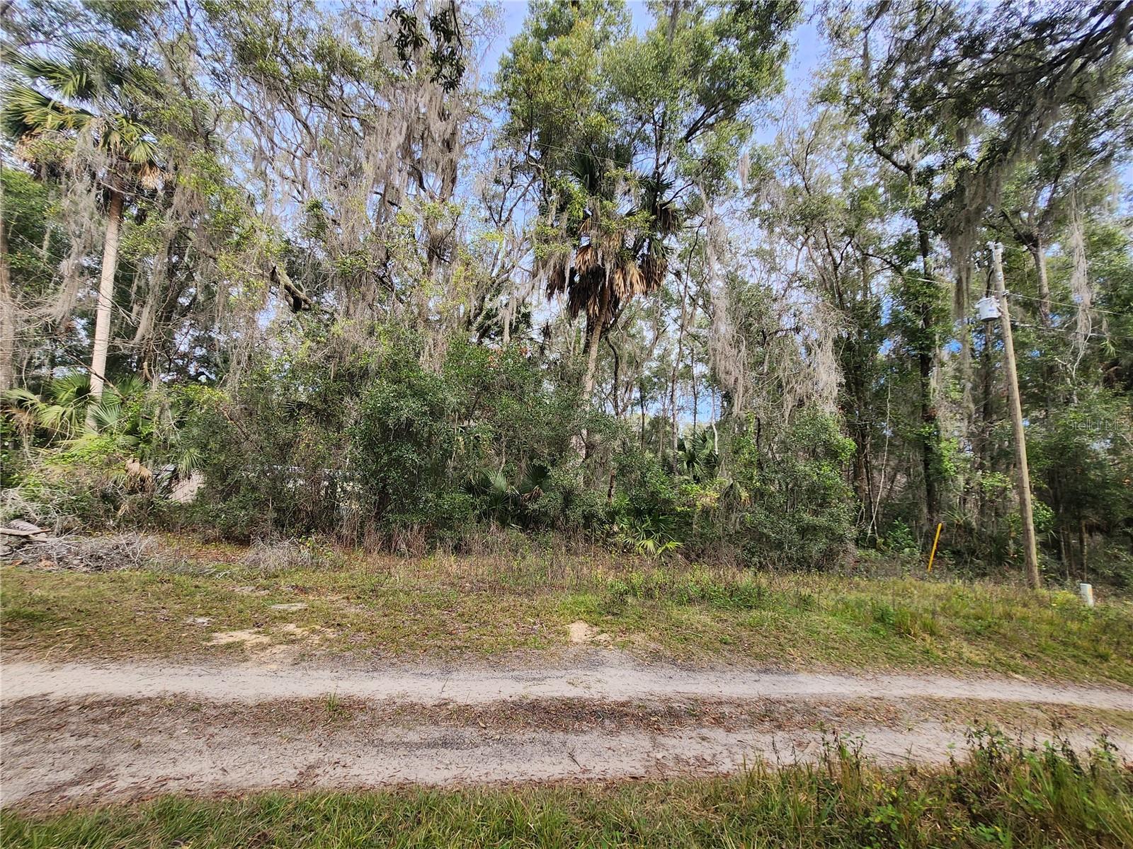 Tbd Ne 164th Pl Property Photo 3