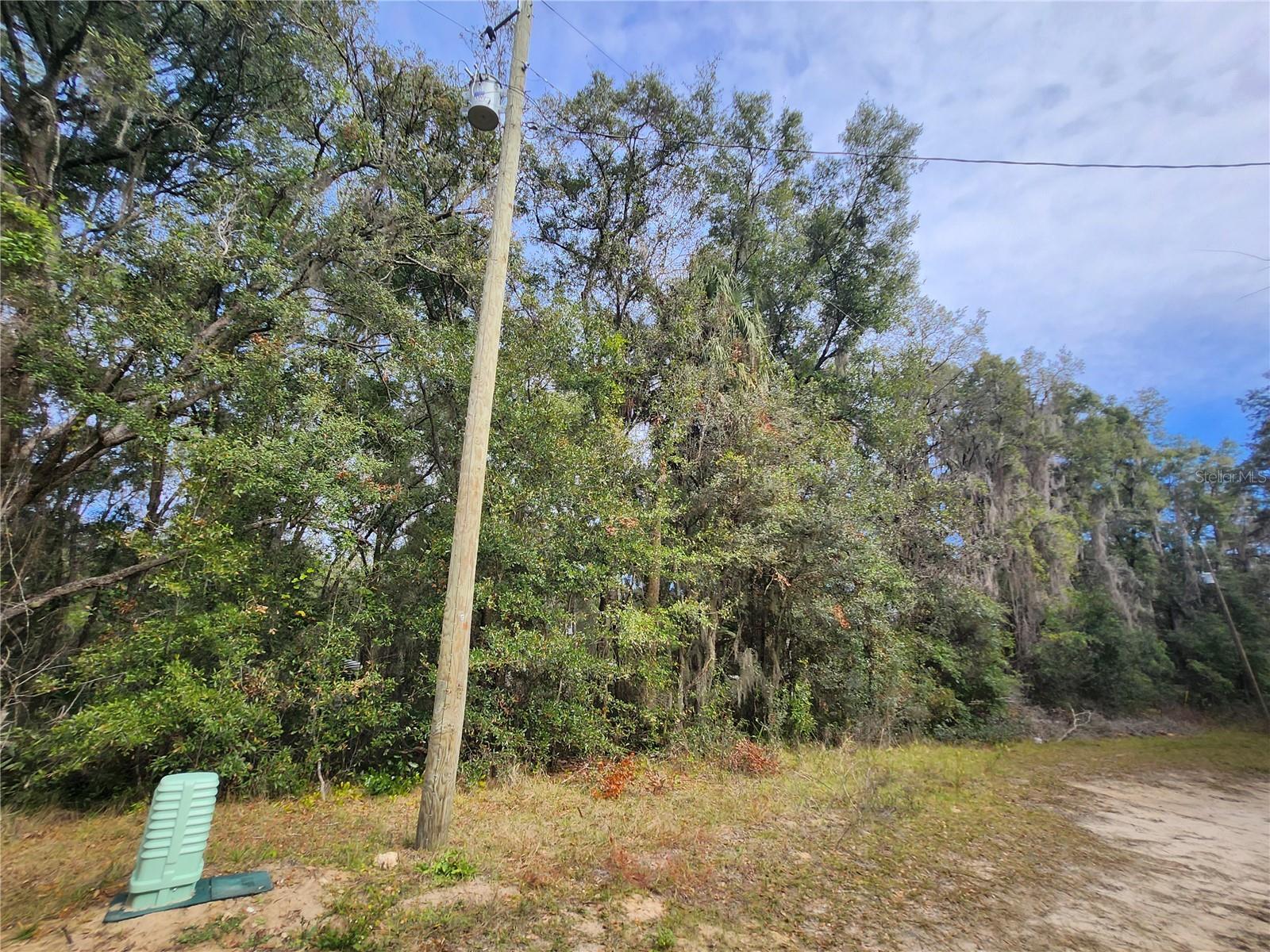 Tbd Ne 164th Pl Property Photo 5