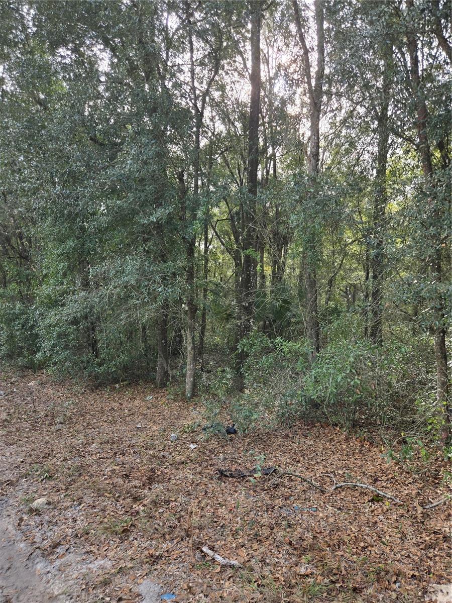 NE 163RD PL Property Photo 1