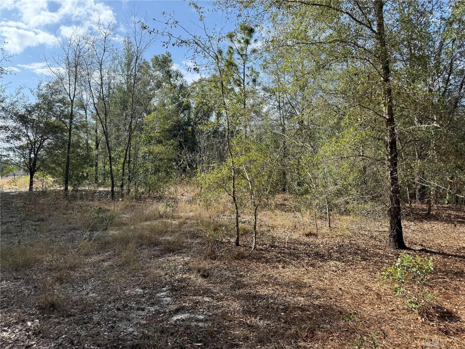 Se 92nd Ct Property Photo 3