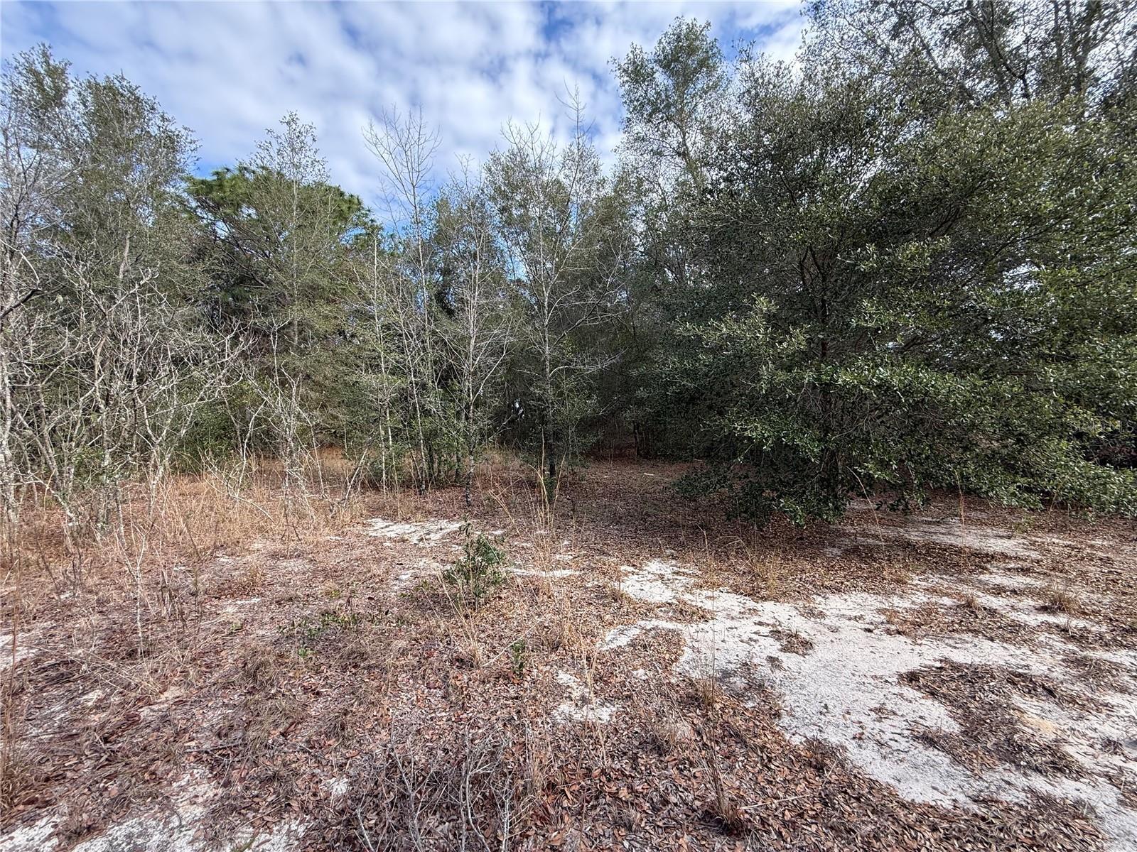 Se 92nd Ct Property Photo 9