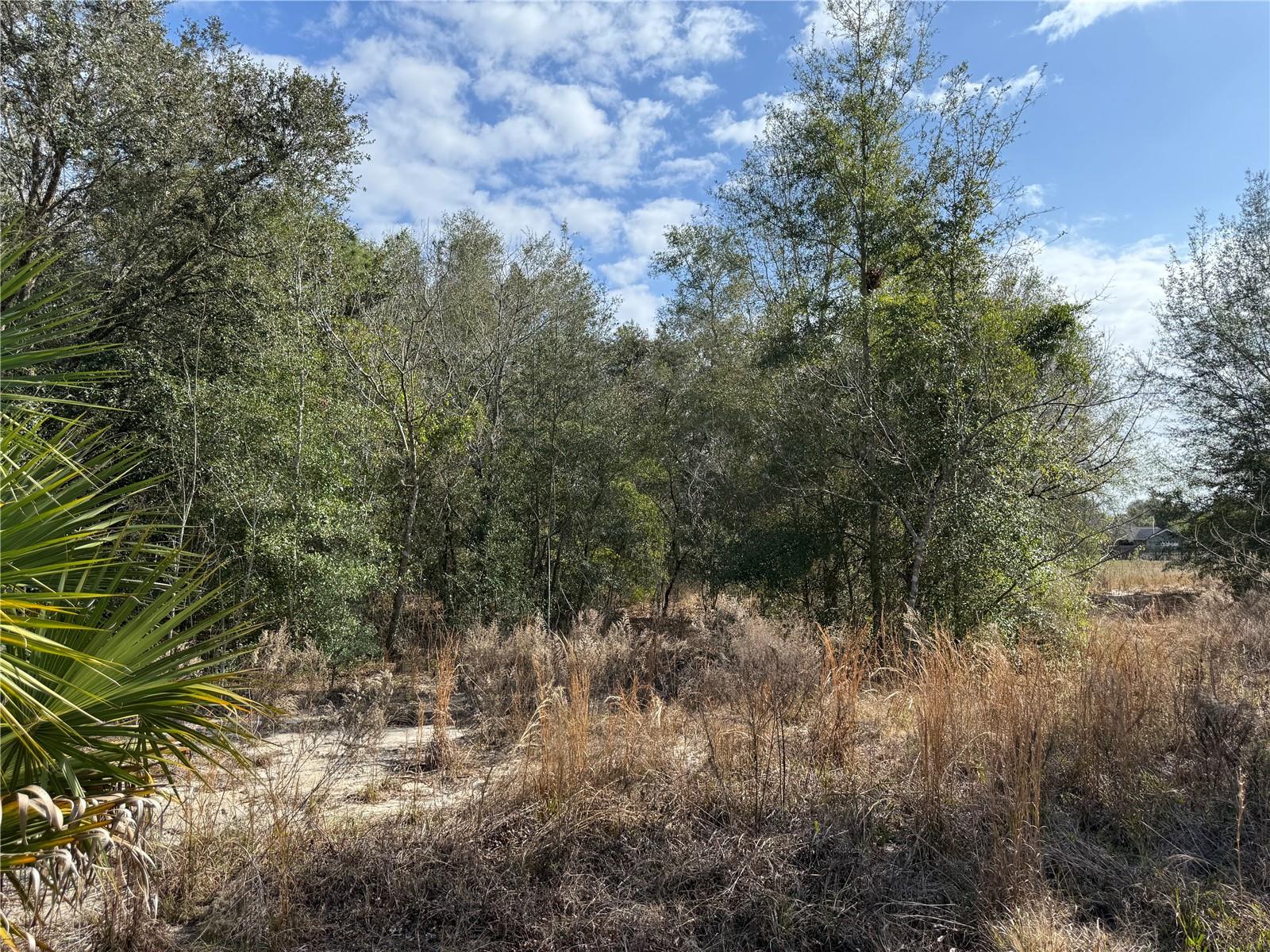 Se 92nd Ct Property Photo 14