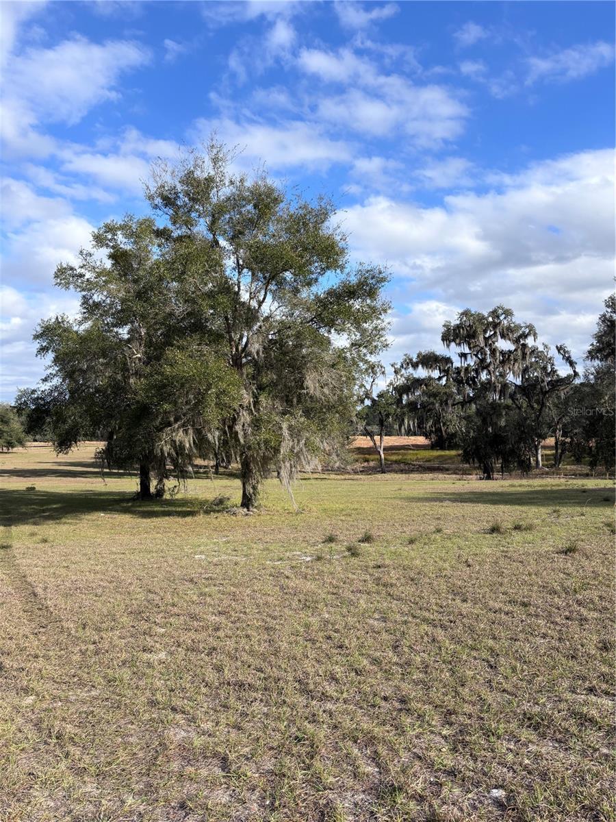 Tbd Nw 127 Ct Property Photo 4