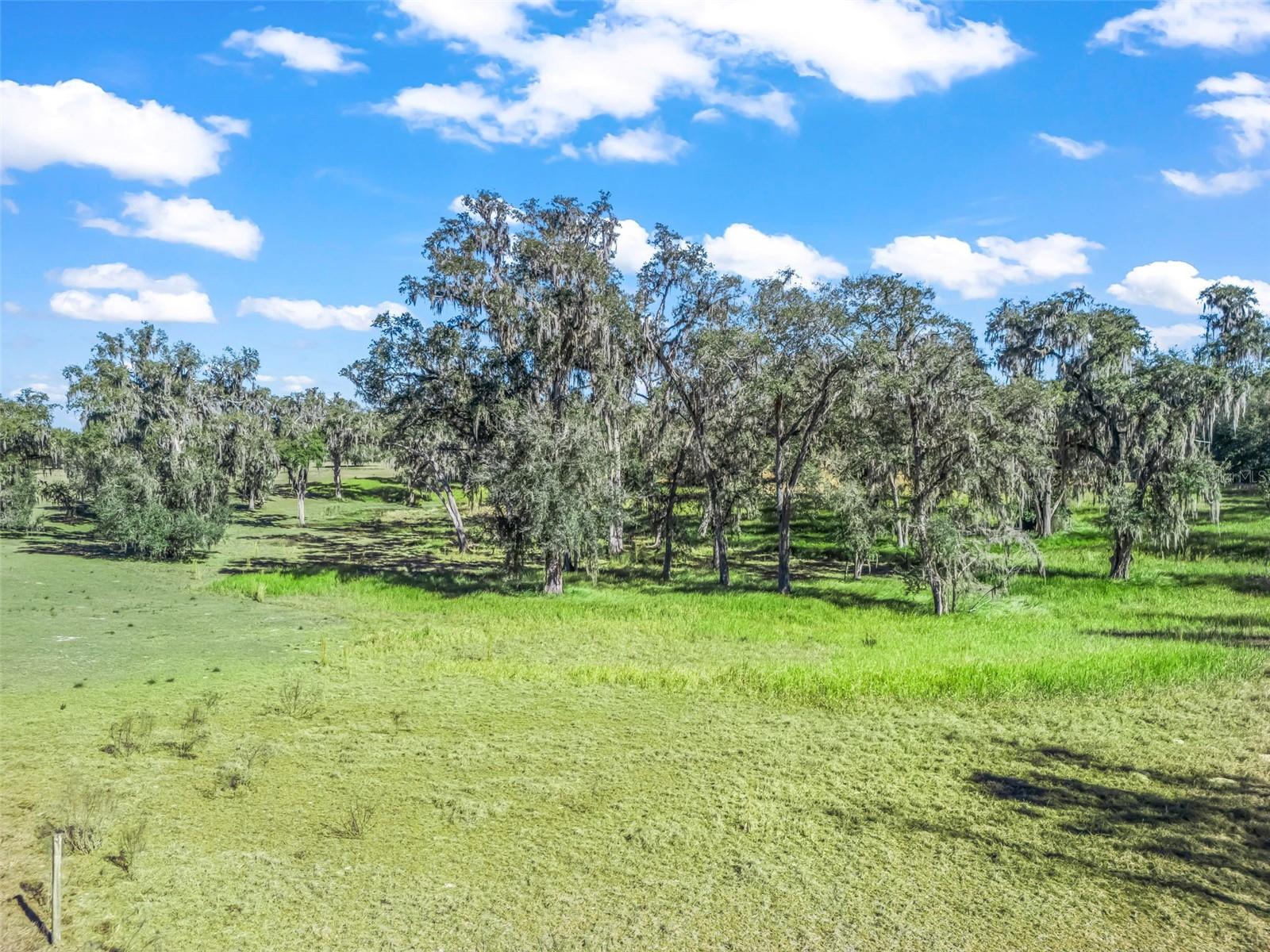 Tbd Nw 127 Ct Property Photo 16