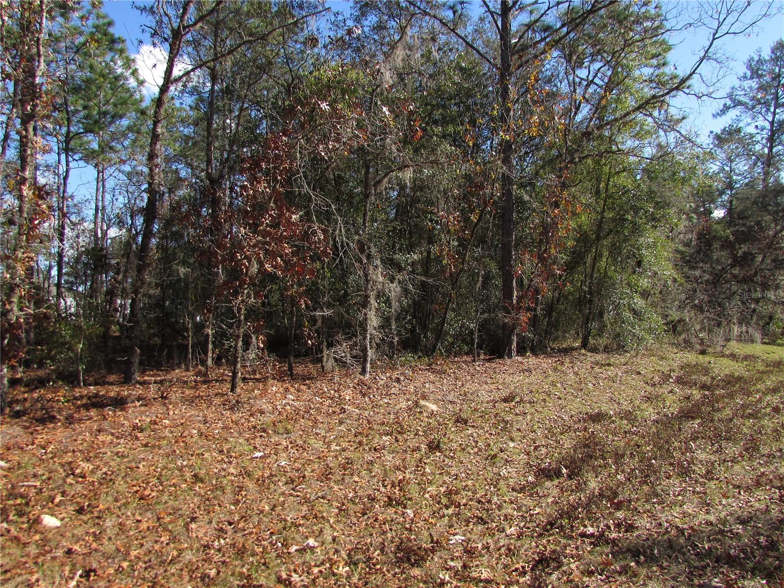 Lot 18 Sw 156 St Property Photo 4