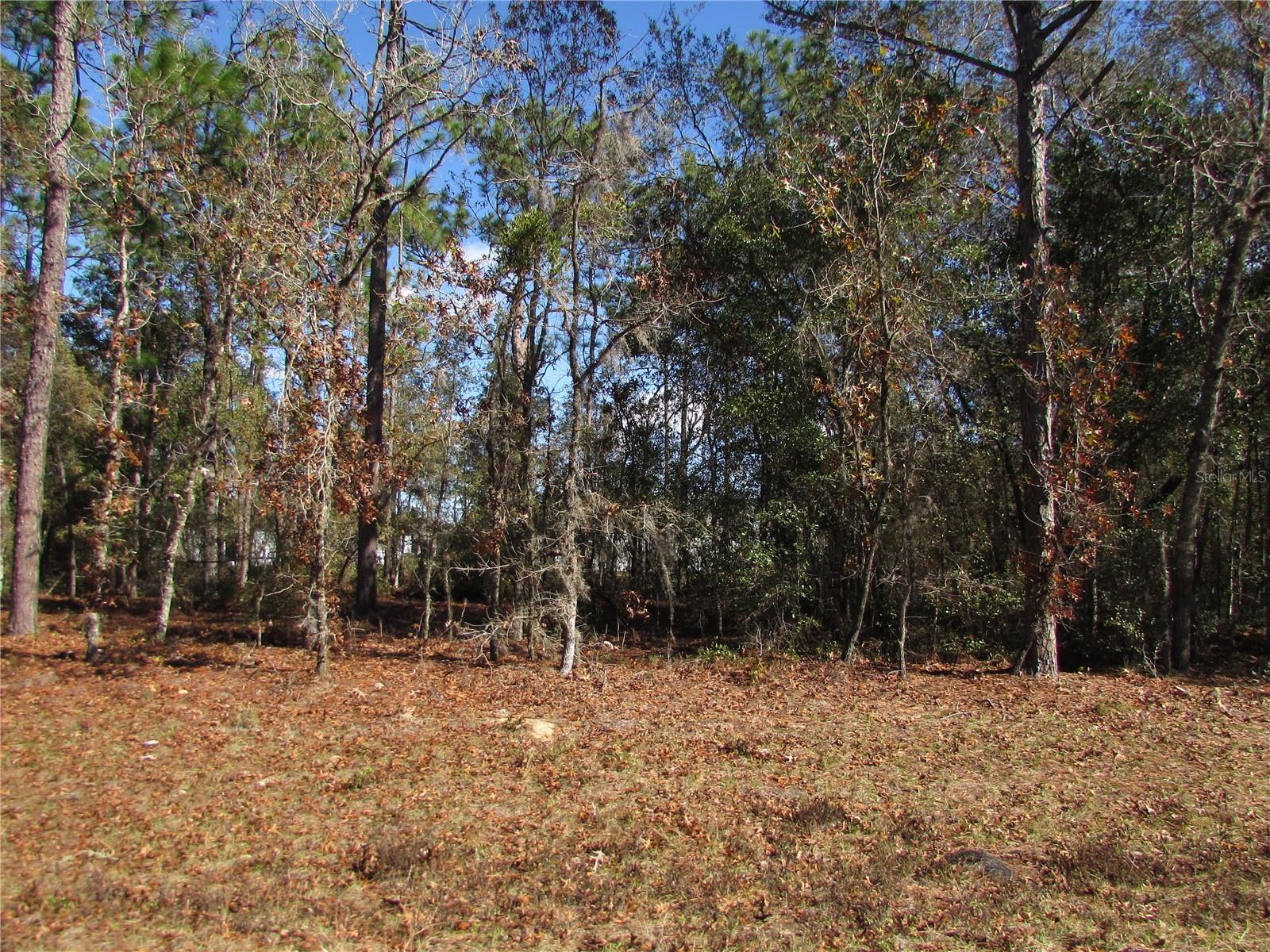 Lot 18 Sw 156 St Property Photo 9