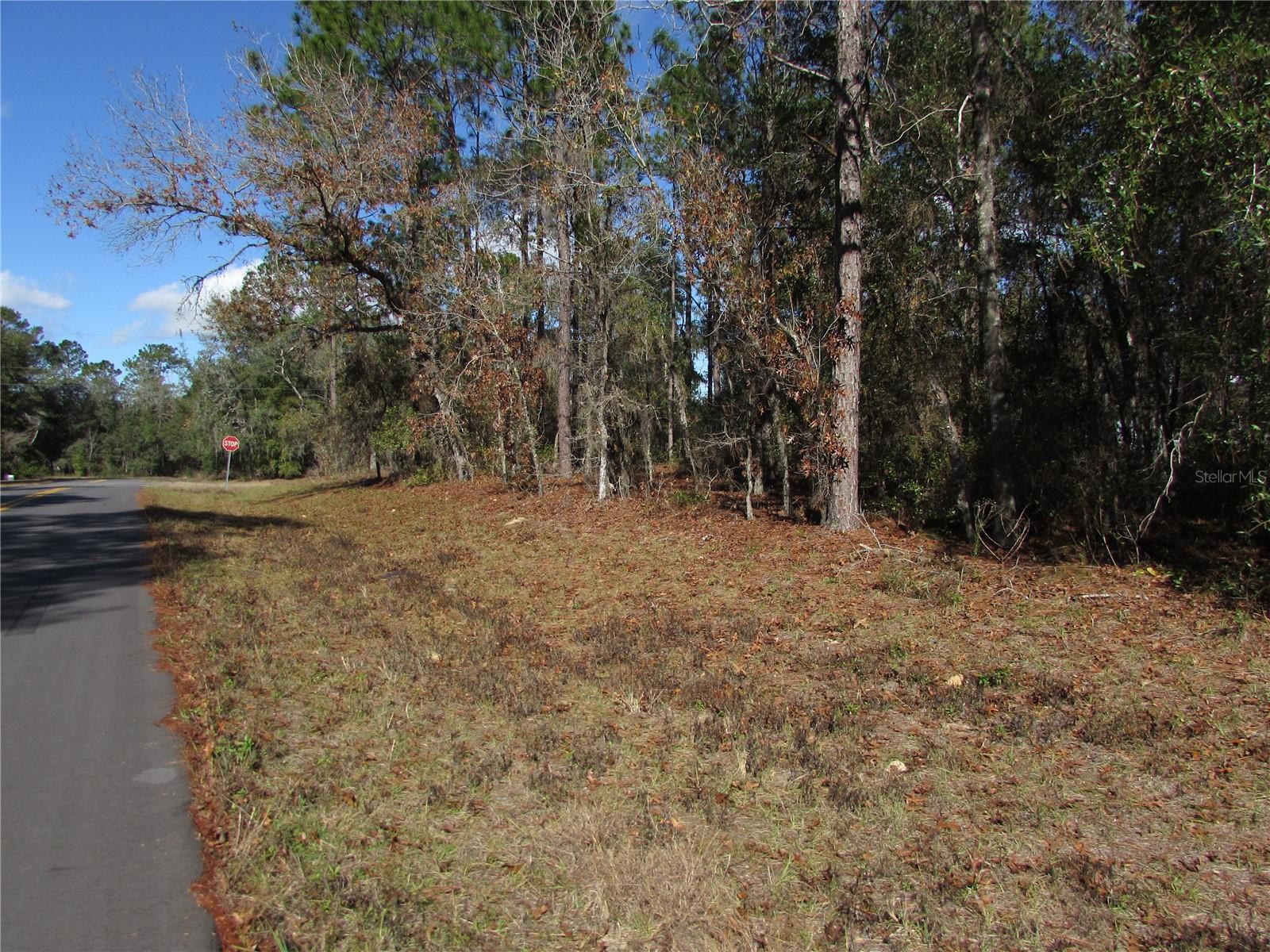 Lot 18 Sw 156 St Property Photo 10