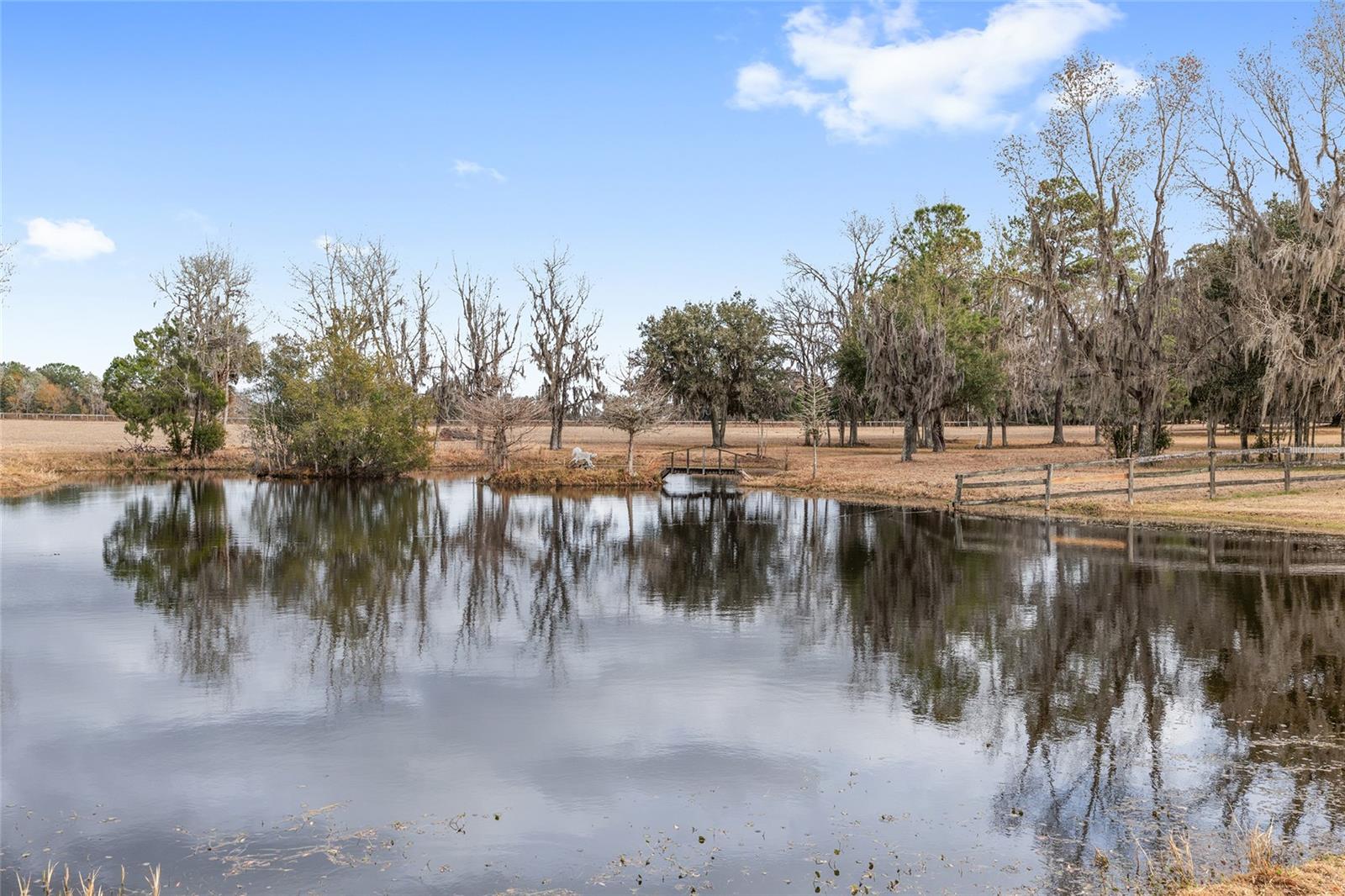 15000 W Hwy 318 Property Photo 58