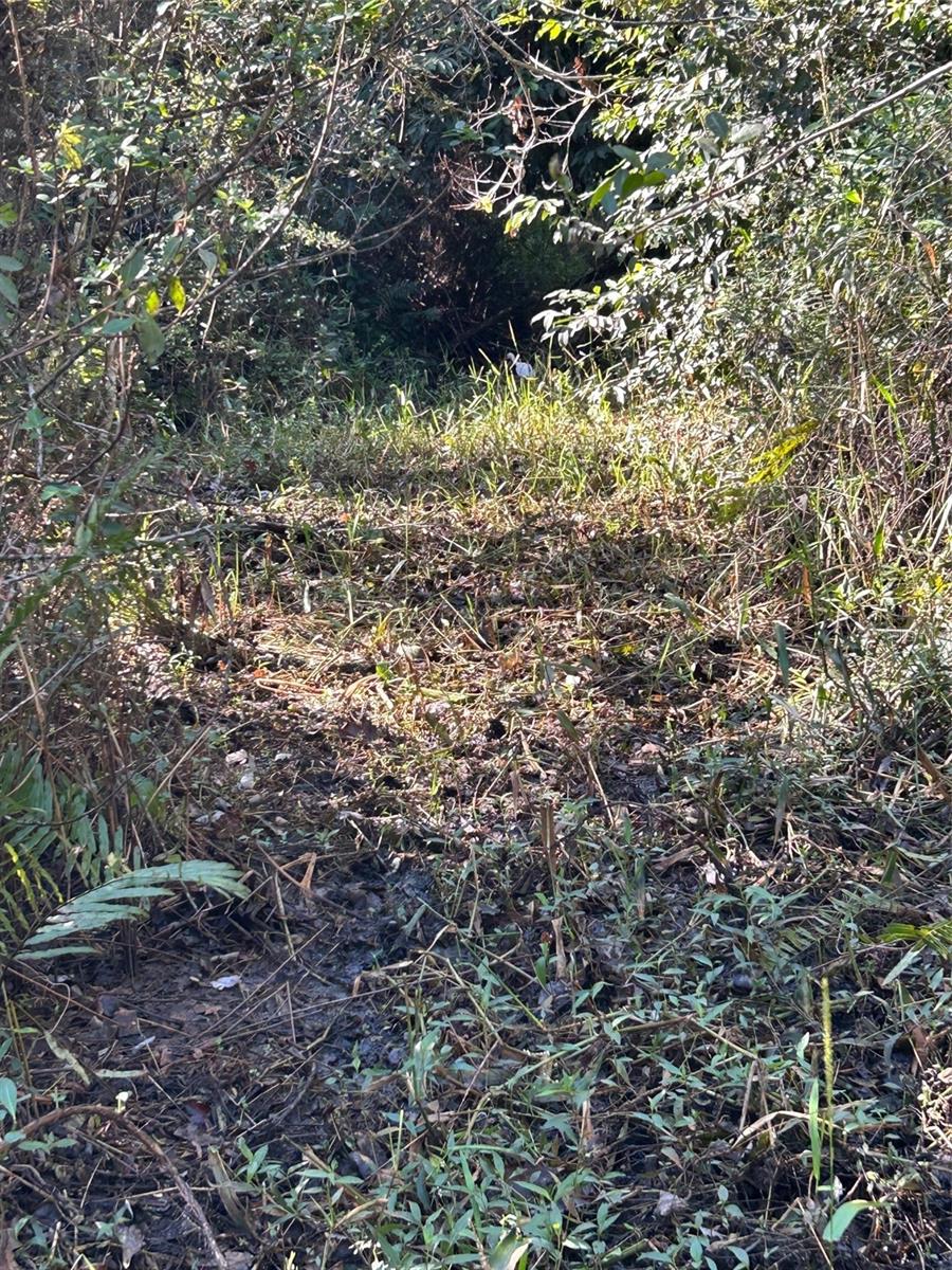 N/a Property Photo 32