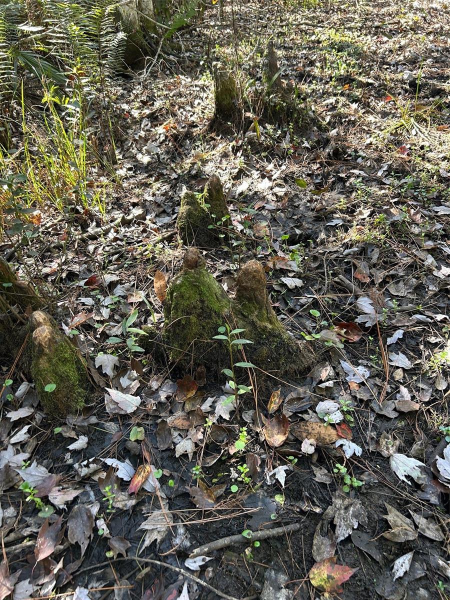 N/a Property Photo 34
