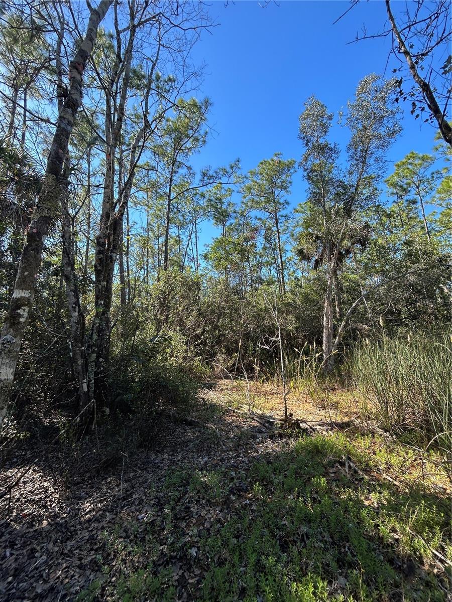 N/a Property Photo 37