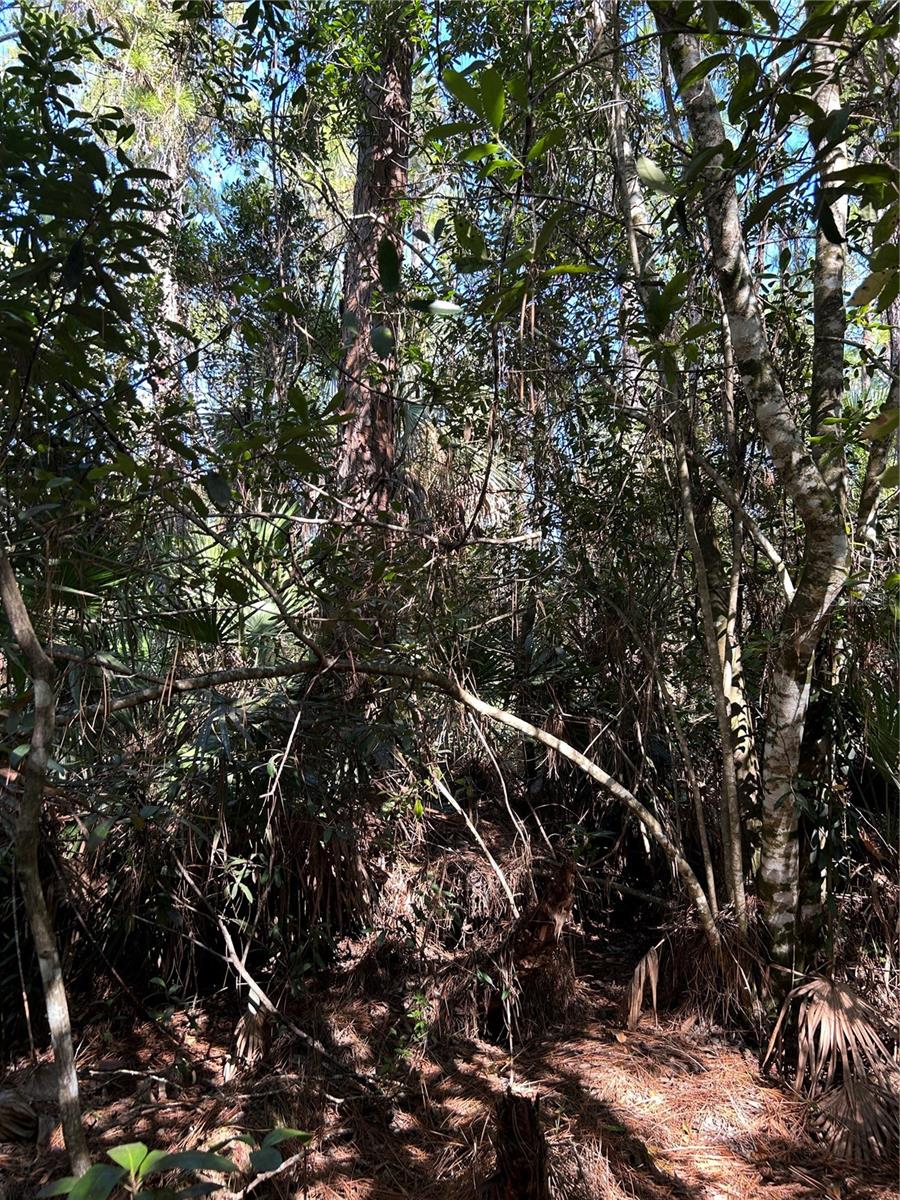 N/a Property Photo 39