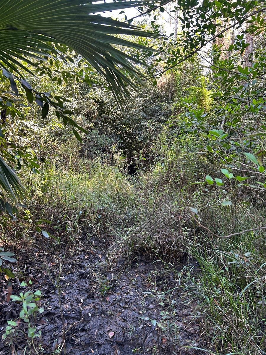 N/a Property Photo 40