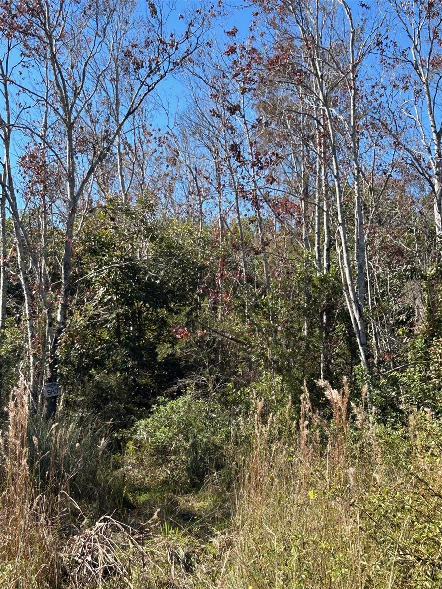 N/a Property Photo 41
