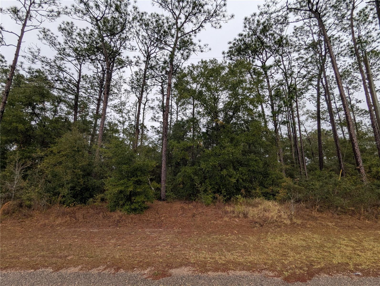 2737 W Blink Dr Property Photo 2