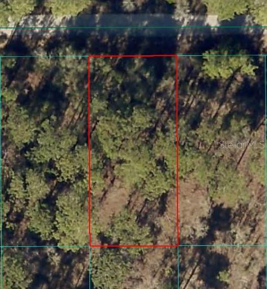 24394 NW WATER OAK AVE Property Photo 1