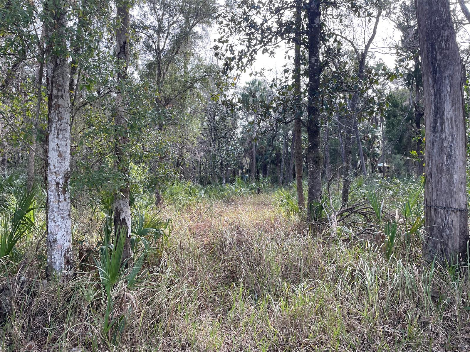 11106 W Townsend Ln Property Photo 1