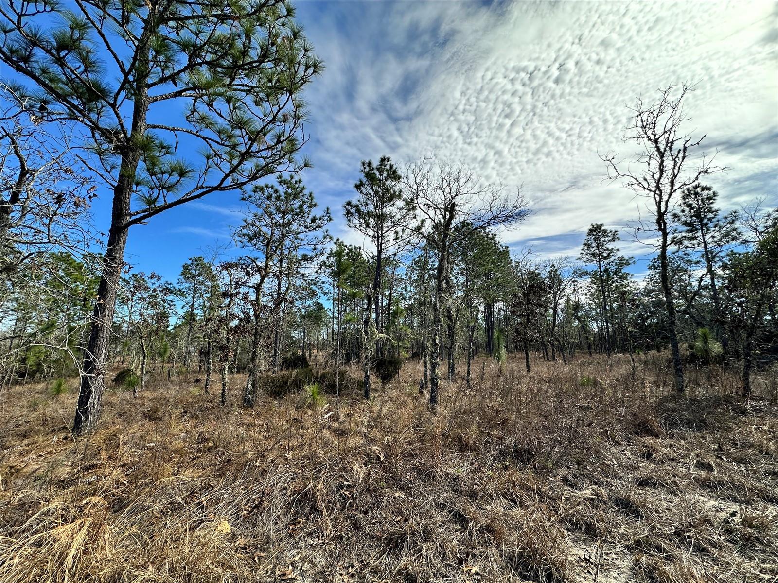 Tbd Ne 150th Ct Property Photo 1