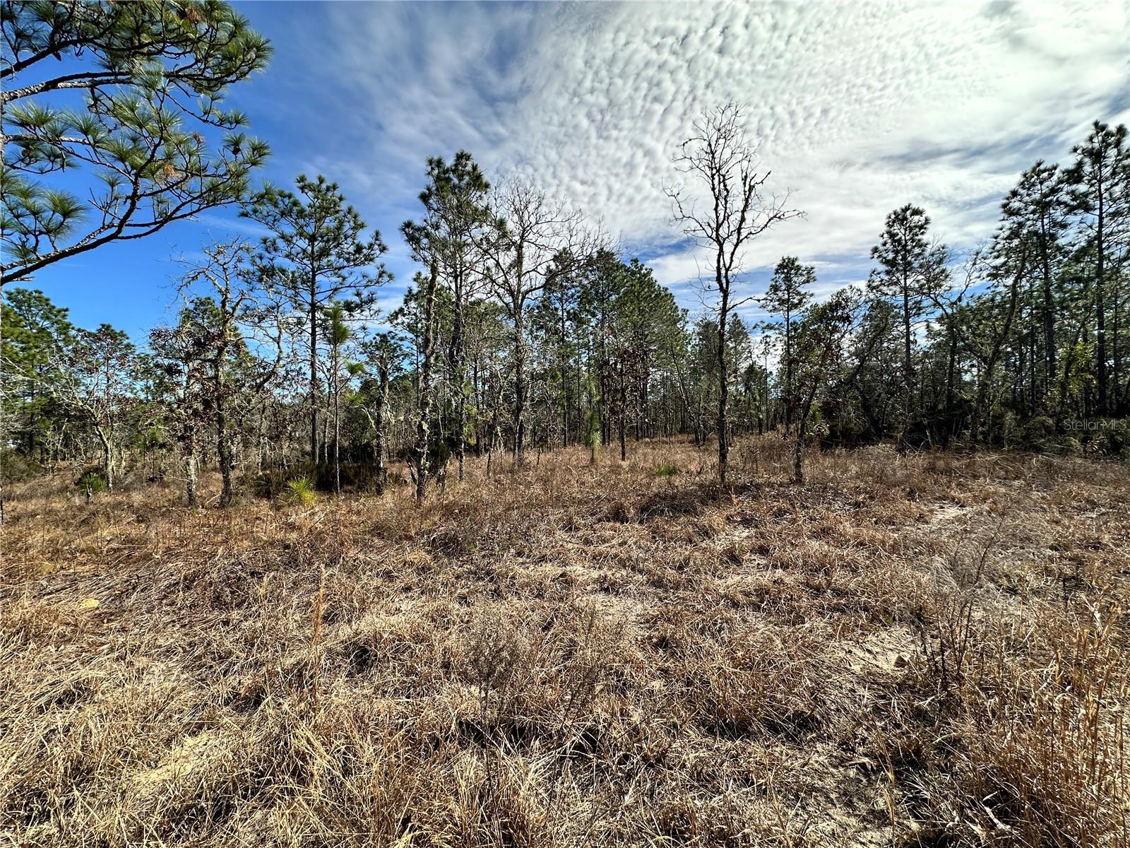 Tbd Ne 150th Ct Property Photo 2