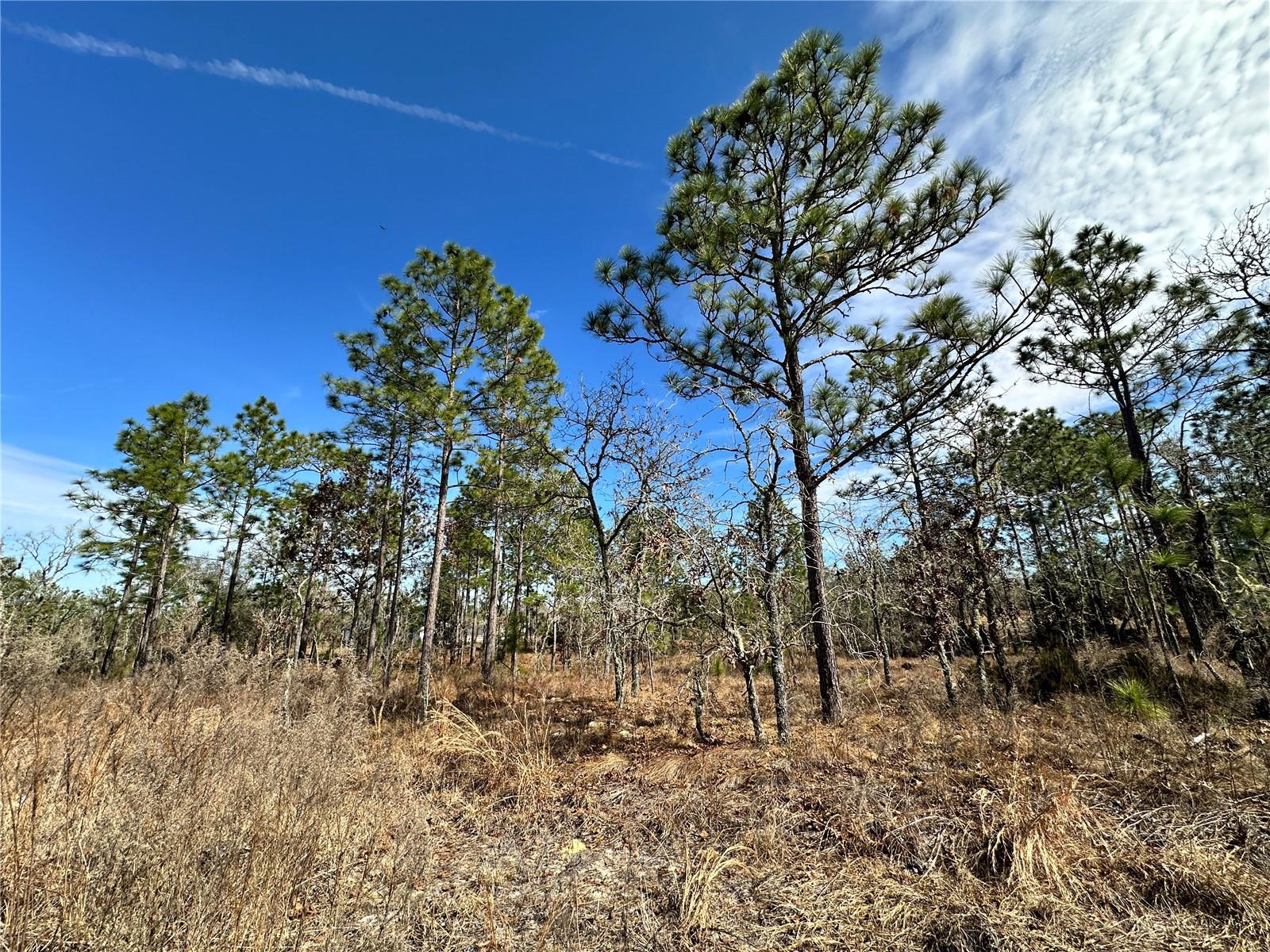 Tbd Ne 150th Ct Property Photo 3