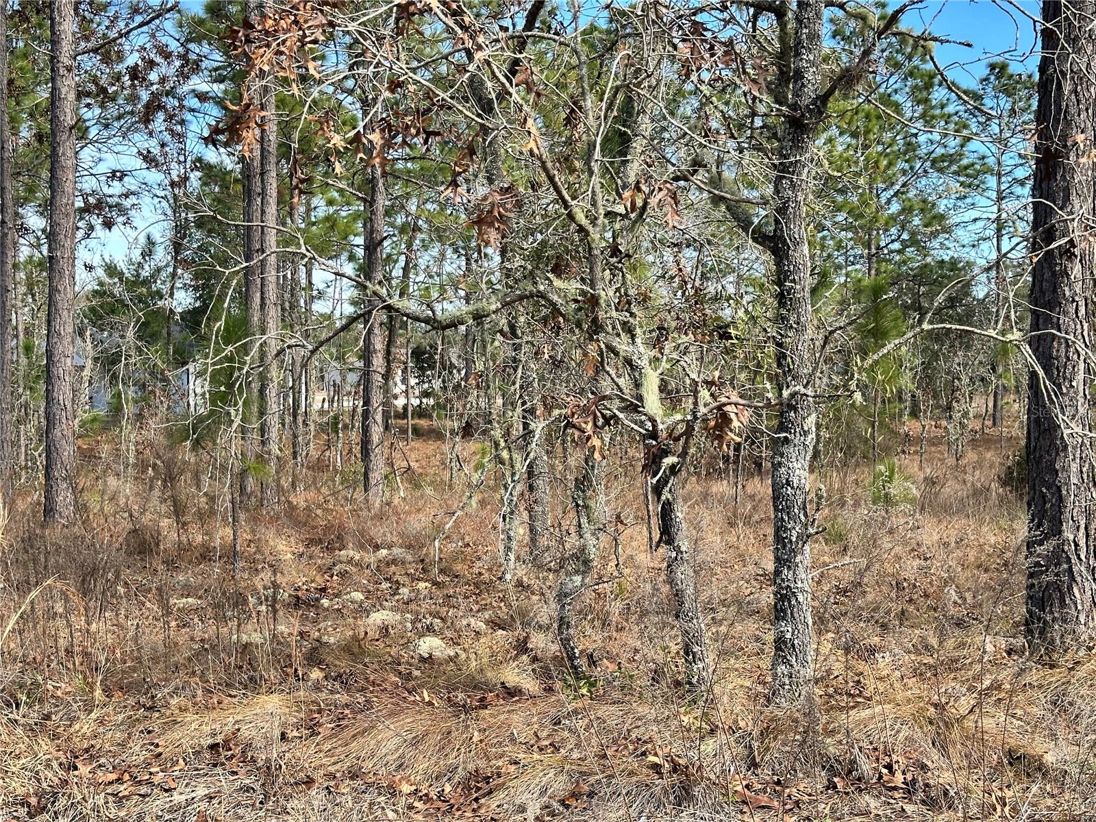 Tbd Ne 150th Ct Property Photo 5