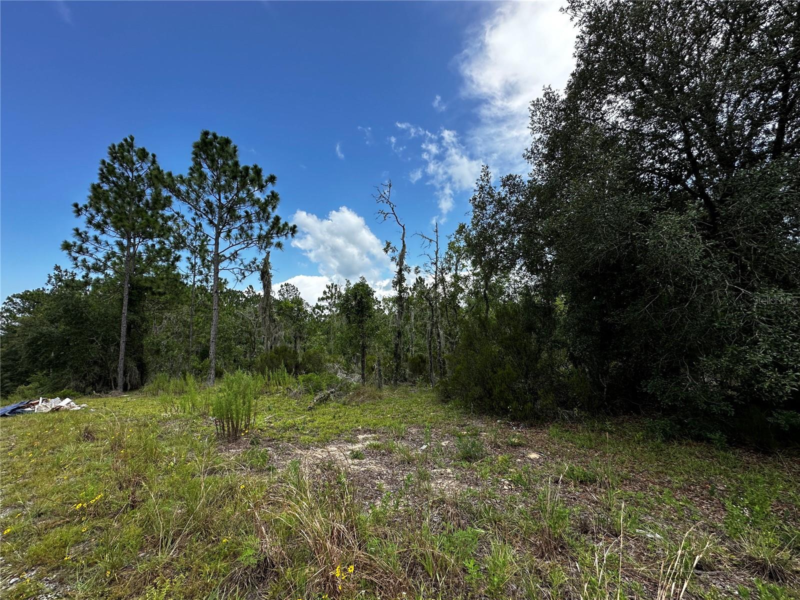 Tbd Ne 16th Ln Property Photo 1