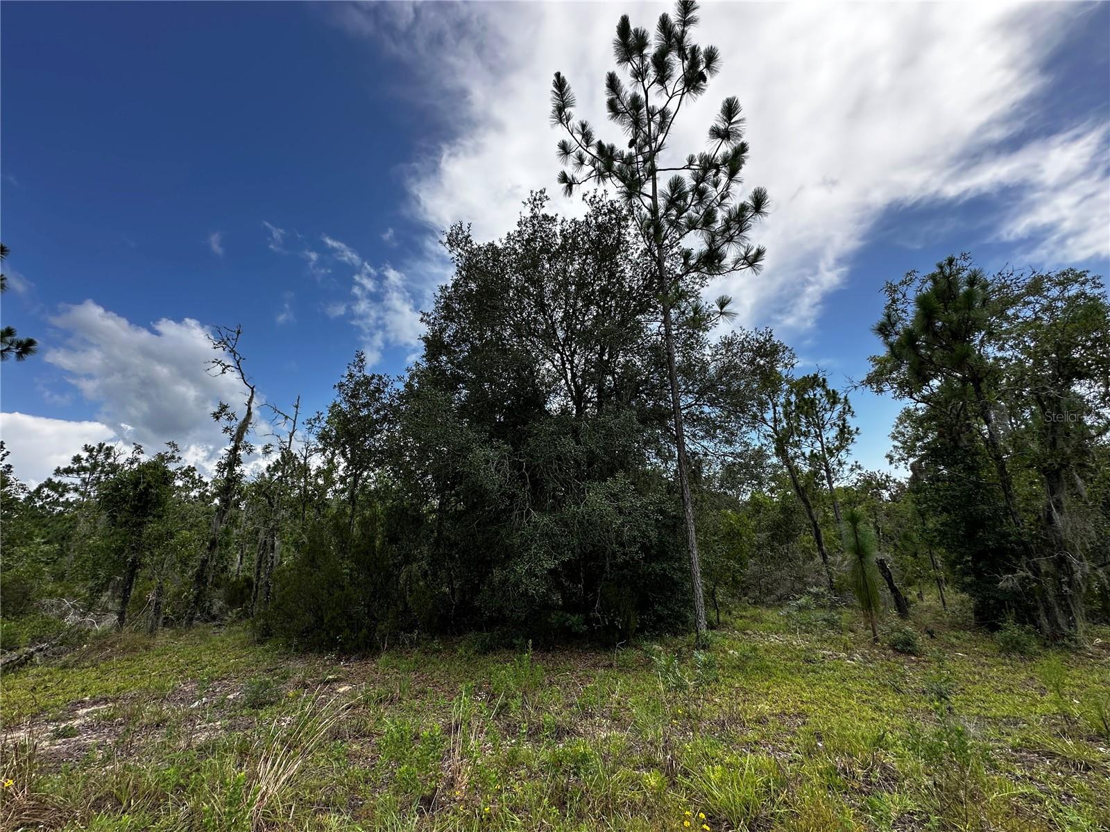 Tbd Ne 16th Ln Property Photo 2