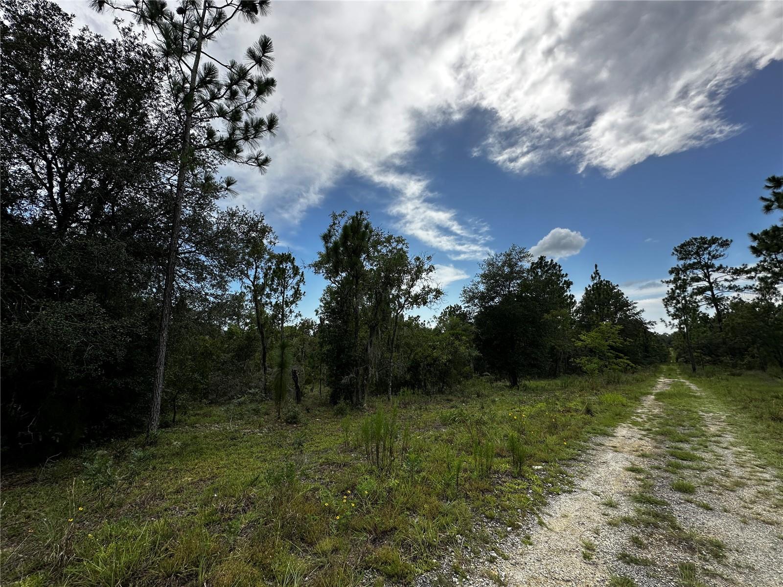 Tbd Ne 16th Ln Property Photo 3