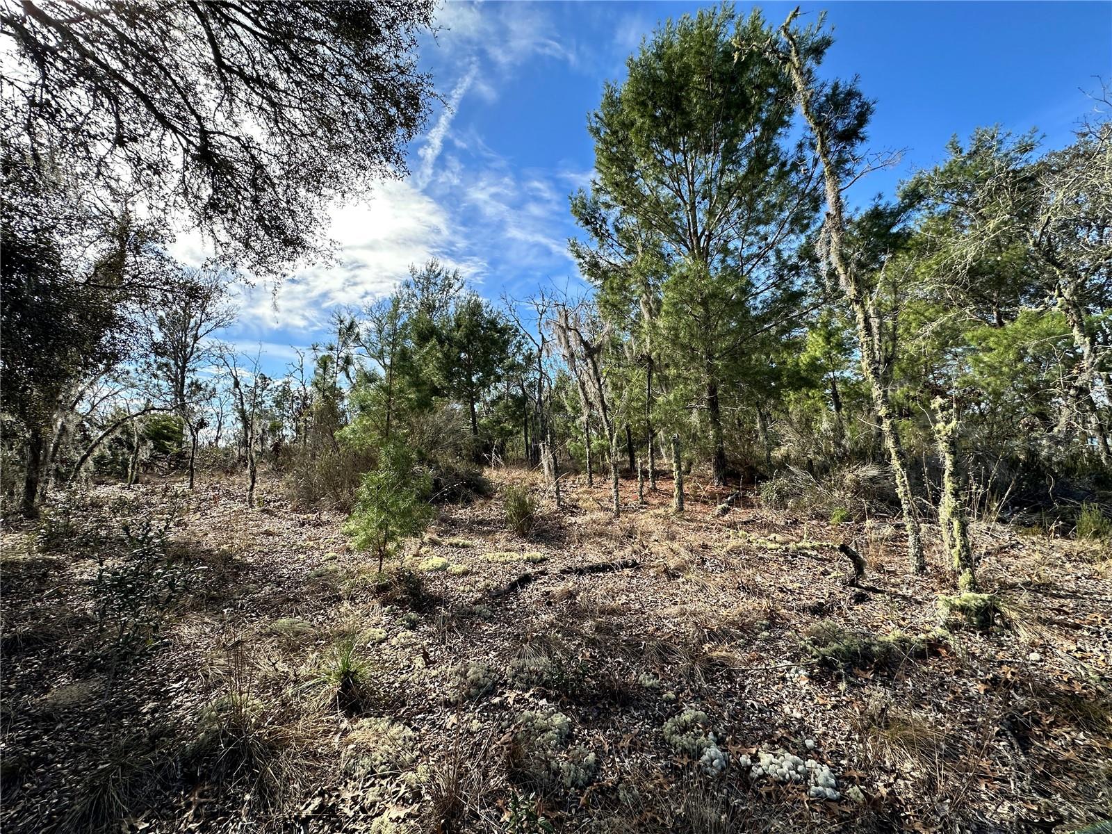 Tbd Ne 16th Ln Property Photo 4